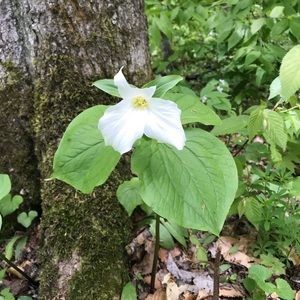 Meet your Posher, Sandy